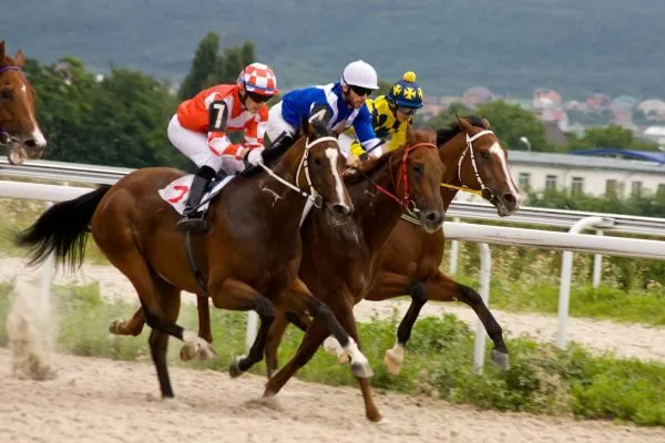 Cá Cược Đua Ngựa Trực Tuyến Với Nhiều Kèo Hấp Dẫn V9bet 2 Đua Ngựa Trực Tuyến